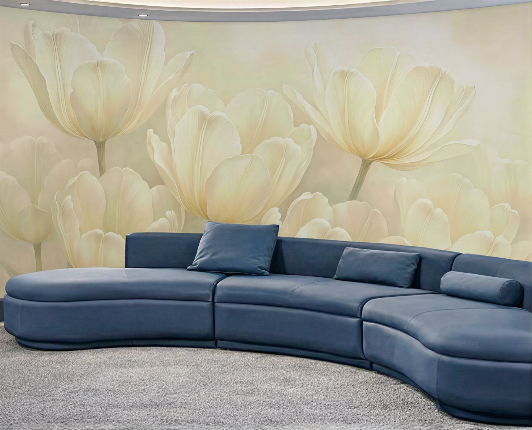 Fototapeta kremowe tulipany w miękkim świetle