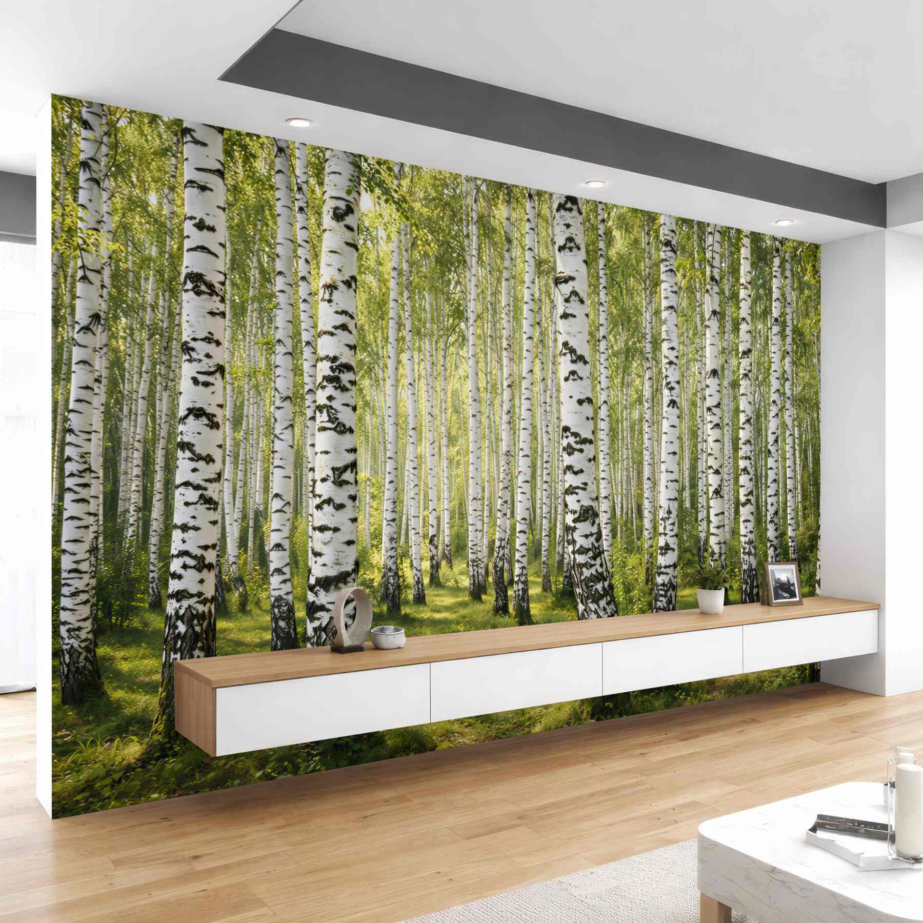 Fototapeta las brzóz zielony słoneczny do naturalnego wnętrza