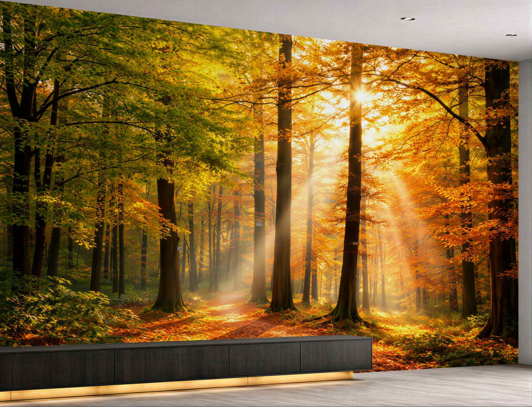 Fototapeta jesienny las ze słońcem i leśną ścieżką