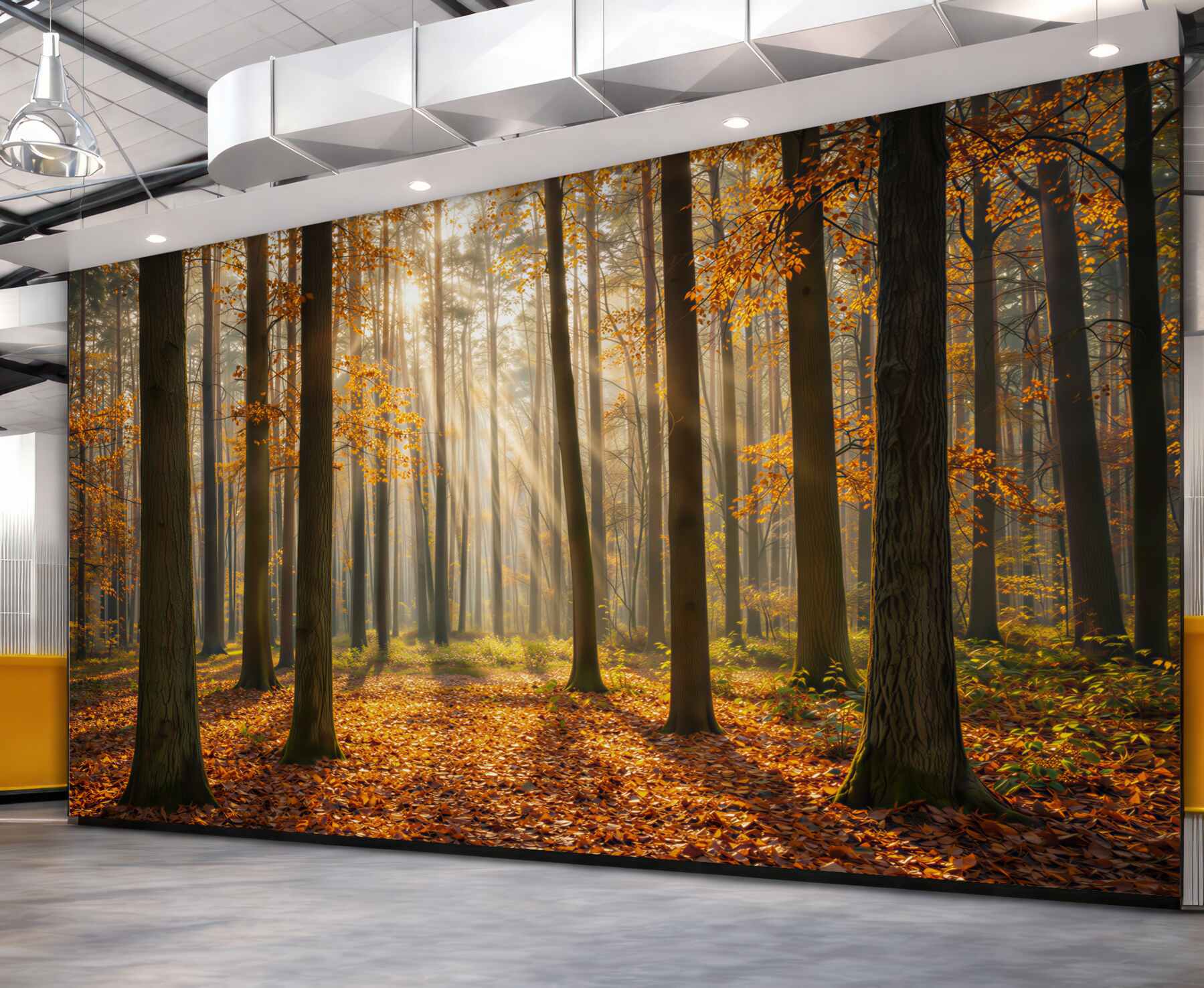Fototapeta jesienny las ze smugami słońca ciepły naturalny krajobraz
