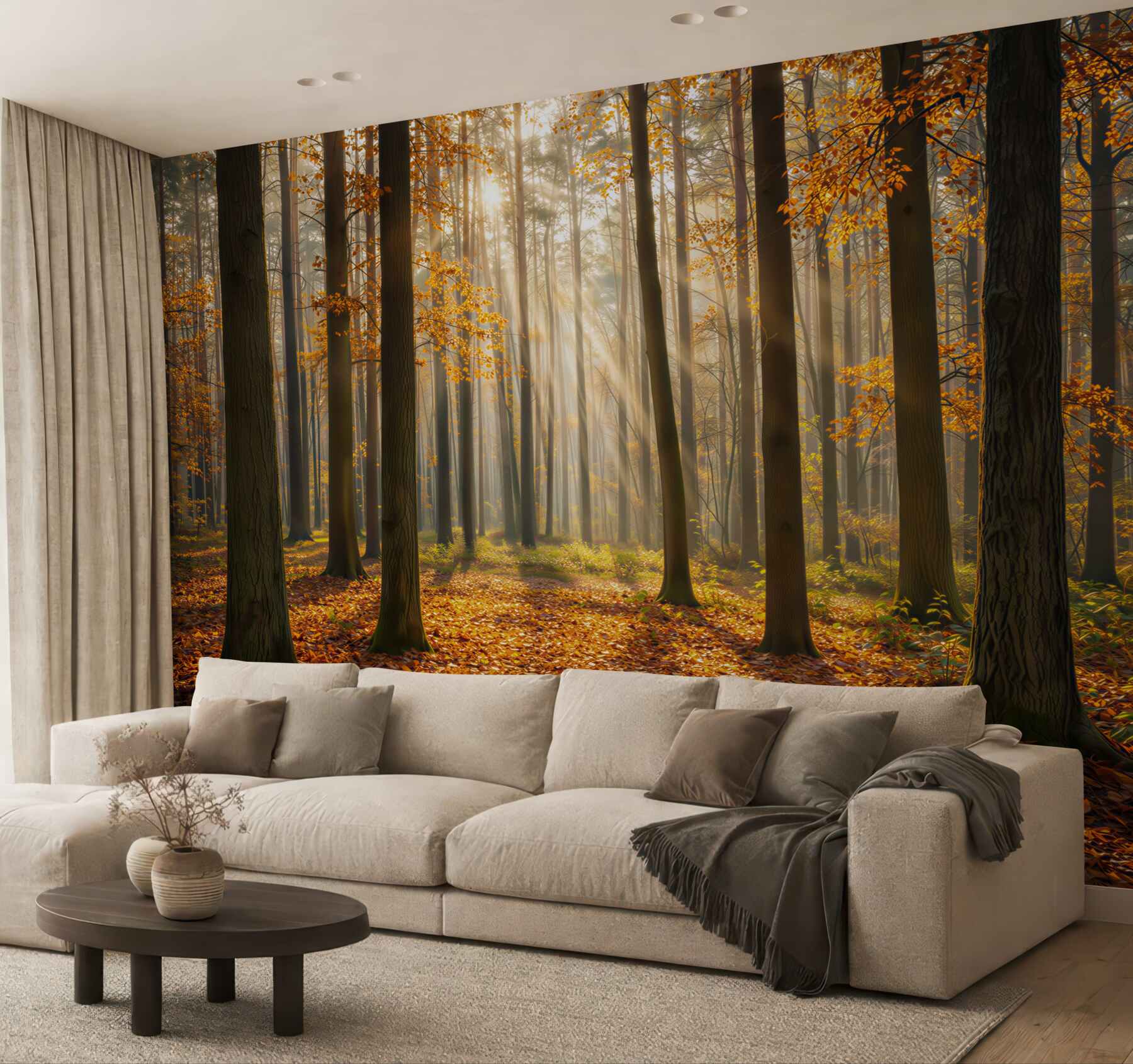 Fototapeta jesienny las ze smugami słońca ciepły naturalny krajobraz