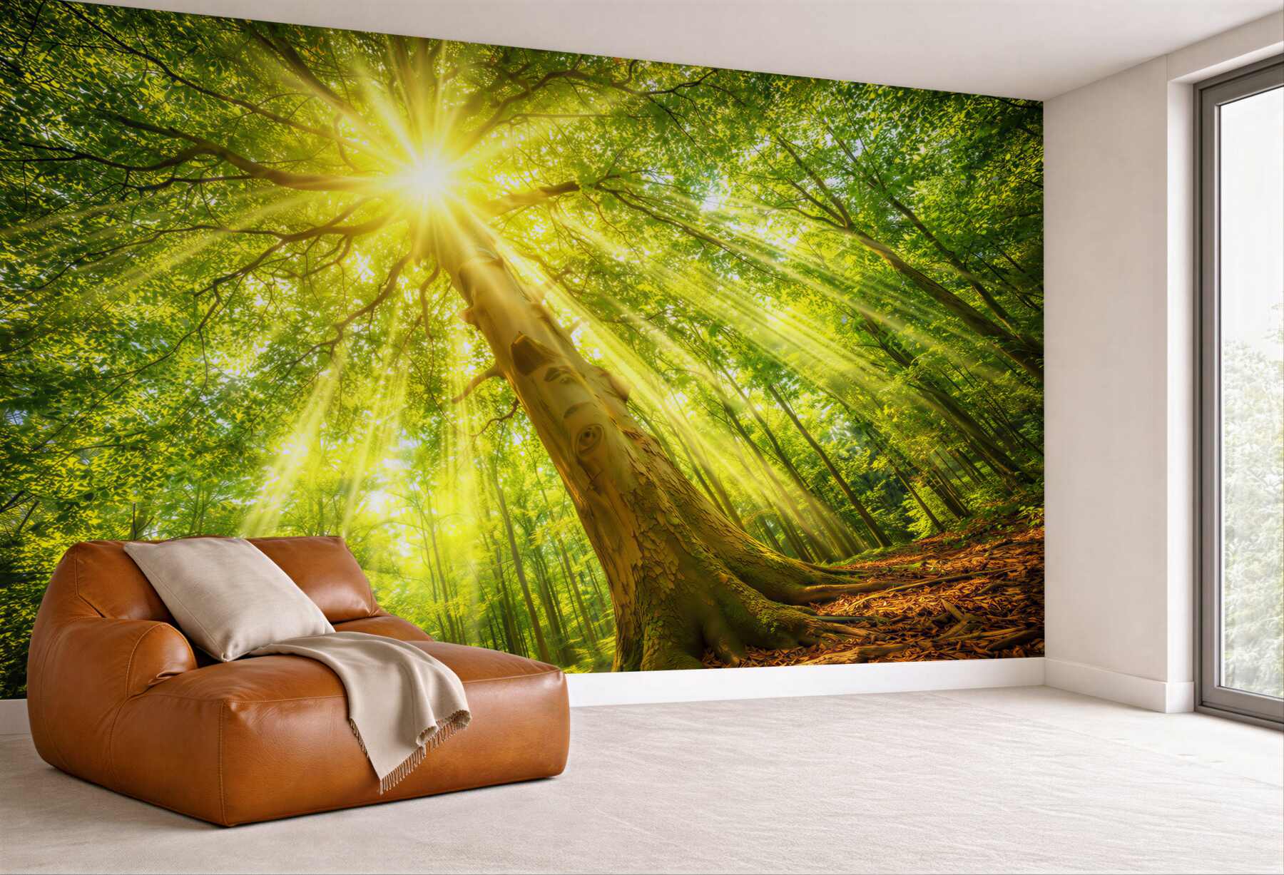 Fototapeta słoneczny las z promieniami słońca zielona natura