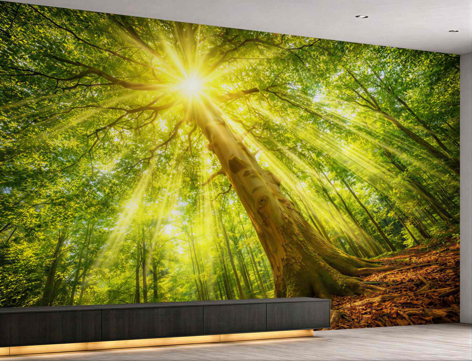 Fototapeta słoneczny las z promieniami słońca zielona natura