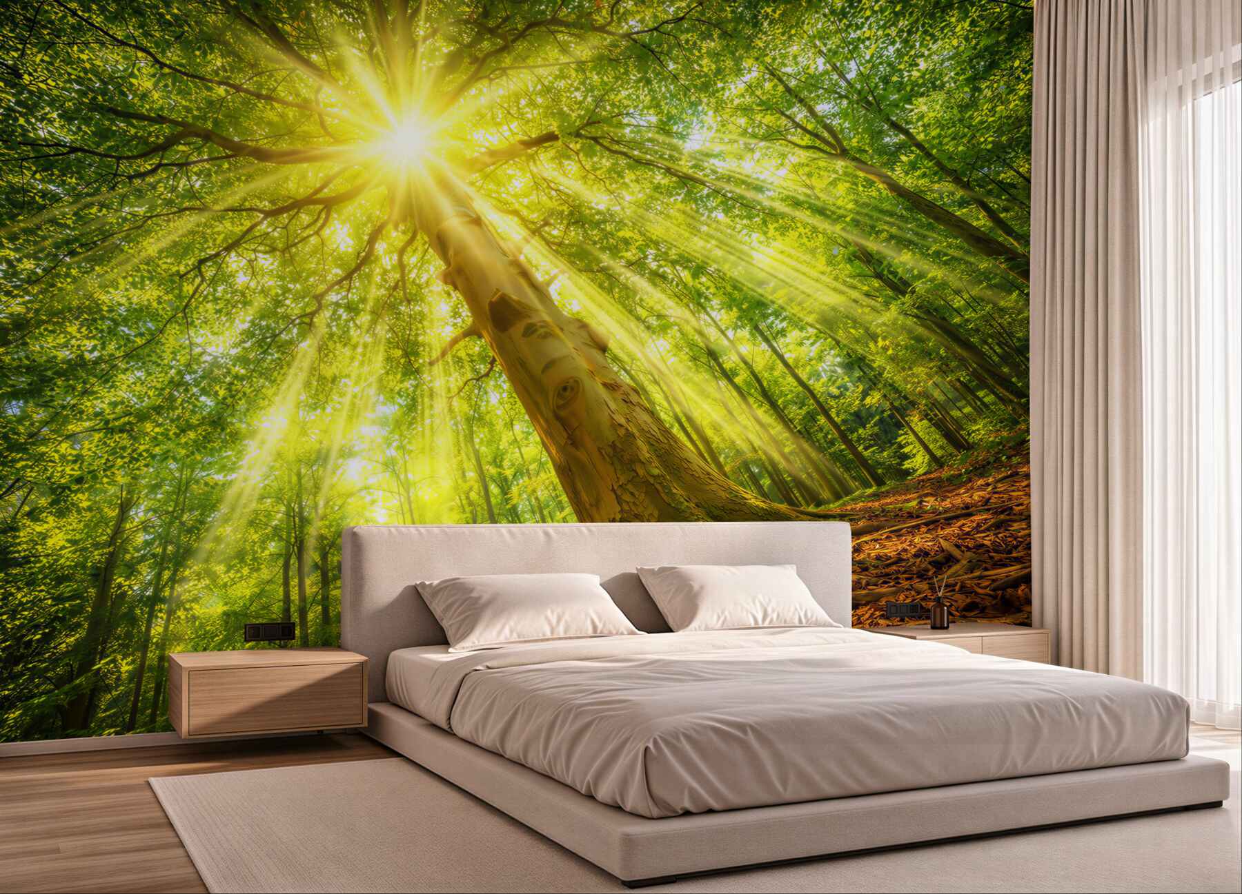 Fototapeta słoneczny las z promieniami słońca zielona natura